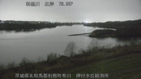 tonos2026022800_image