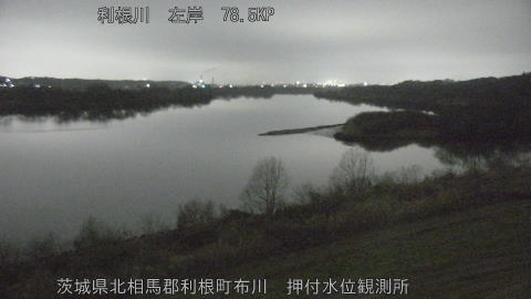 tonos2026022801_image