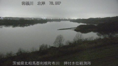 tonos2026022804_image