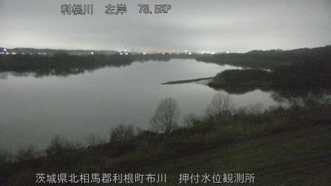 tonos2026022805_image