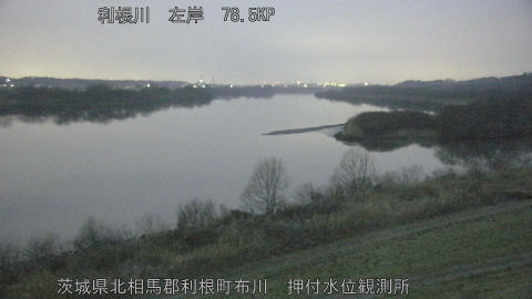 tonos2026022806_image