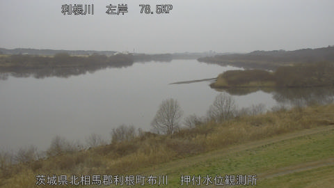 tonos2026022807_image