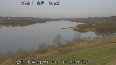 tonos2026022809_image