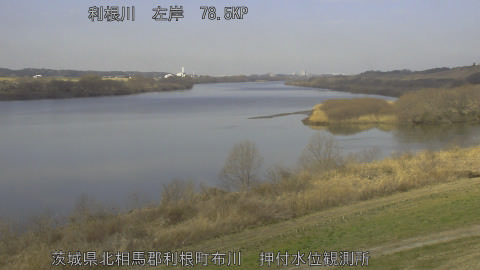 tonos2026022811_image