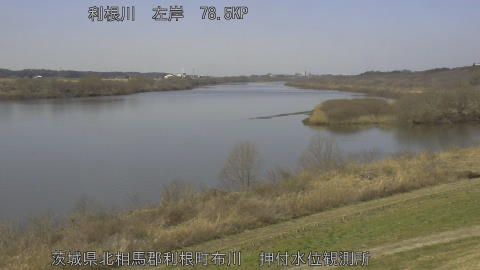 tonos2026022812_image