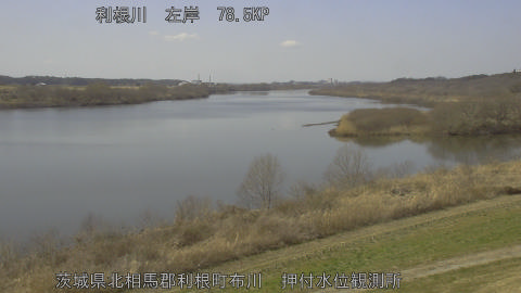 tonos2026022813_image