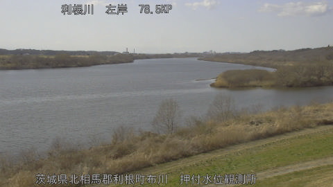 tonos2026022814_image