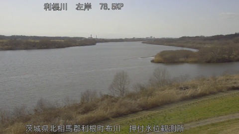 tonos2026022815_image