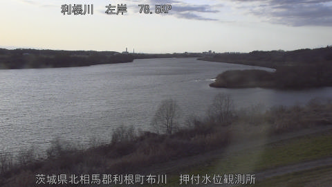 tonos2026022817_image