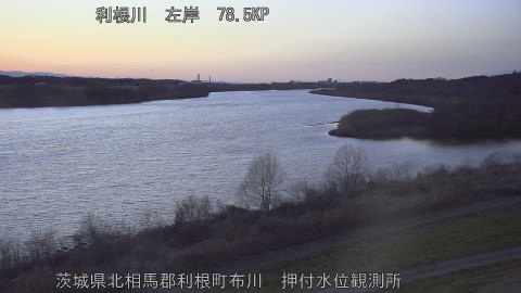 tonos2026022818_image