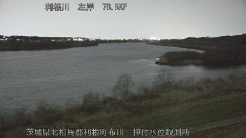 tonos2026022819_image