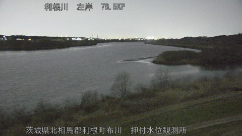 tonos2026022821_image