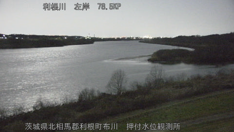 tonos2026030102_image