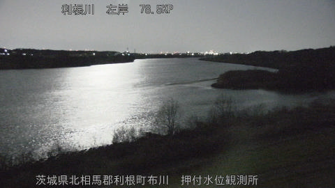 tonos2026030103_image