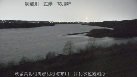 tonos2026030105_image