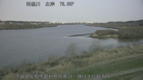 tonos2026030106_image