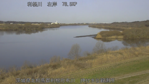 tonos2026030108_image