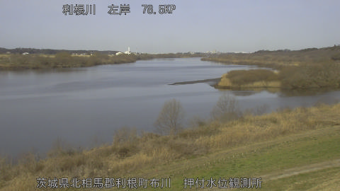 tonos2026030109_image