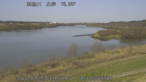 tonos2026030110_image