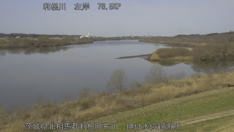 tonos2026030111_image