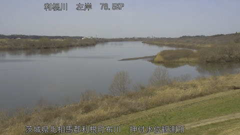 tonos2026030112_image