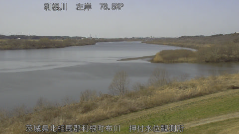 tonos2026030113_image