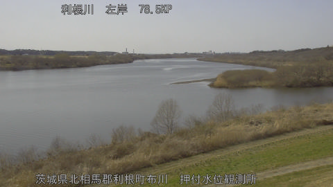 tonos2026030114_image