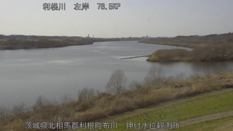 tonos2026030115_image