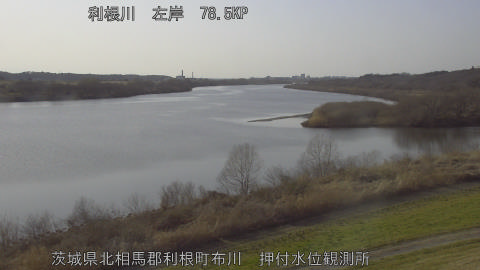 tonos2026030116_image