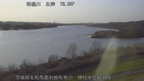 tonos2026030117_image