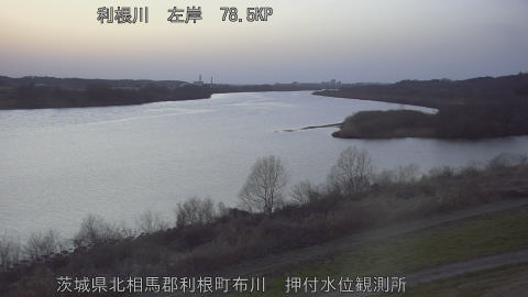 tonos2026030118_image