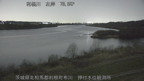 tonos2026030119_image