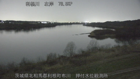 tonos2026030120_image