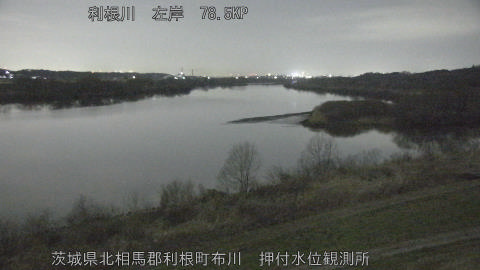 tonos2026030122_image