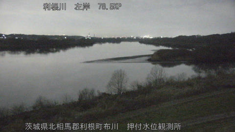 tonos2026030201_image