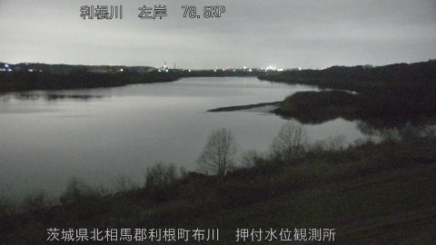 tonos2026030202_image