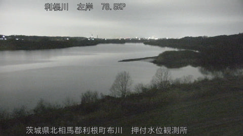 tonos2026030203_image