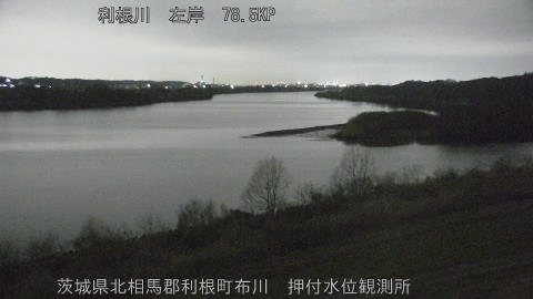 tonos2026030205_image