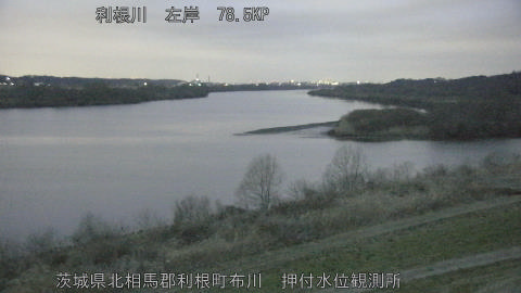 tonos2026030206_image