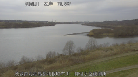 tonos2026030207_image