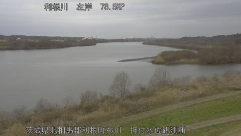 tonos2026030208_image