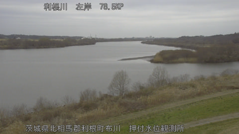 tonos2026030209_image