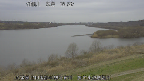 tonos2026030210_image