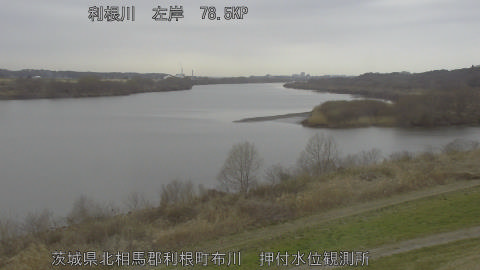 tonos2026030211_image