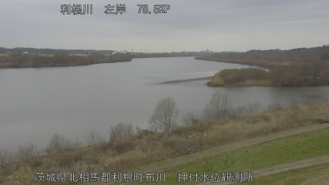 tonos2026030212_image