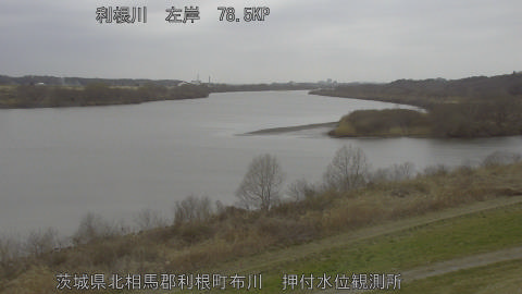 tonos2026030213_image