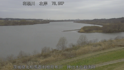 tonos2026030214_image