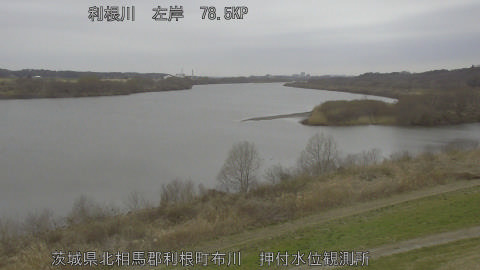 tonos2026030215_image