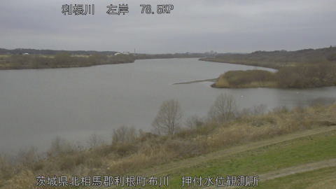 tonos2026030216_image