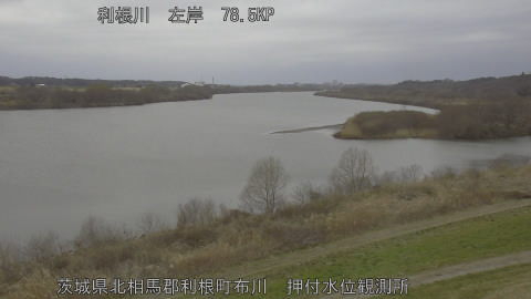 tonos2026030217_image